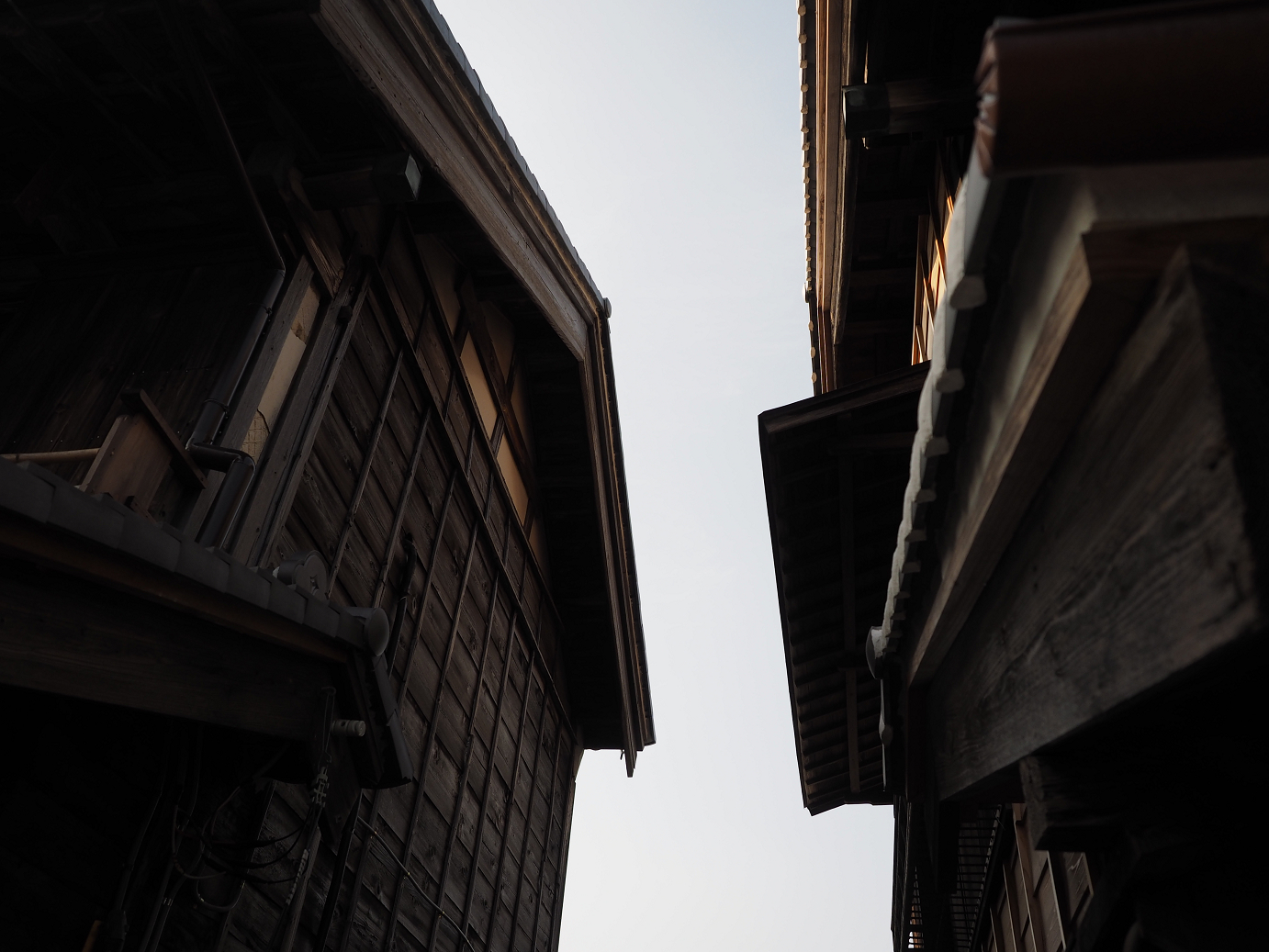 PA240163.jpg