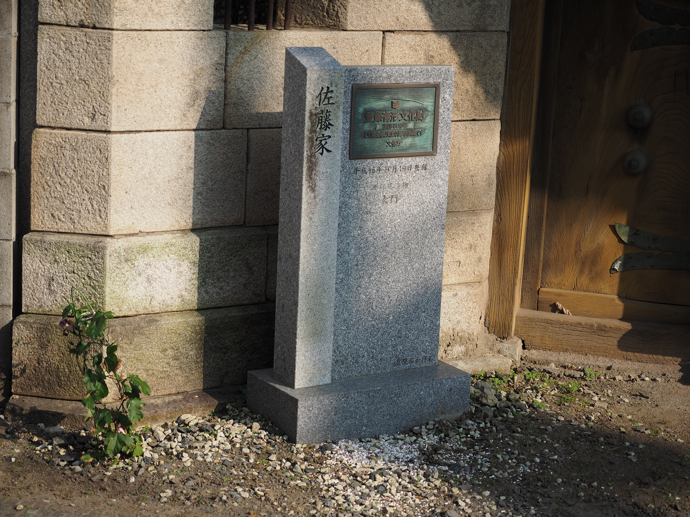 PA240222.jpg