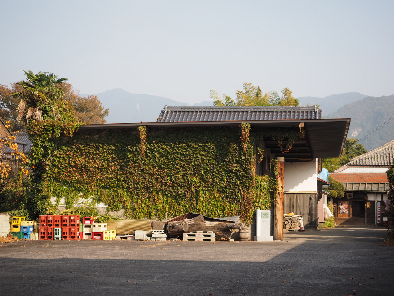 PA240229.jpg