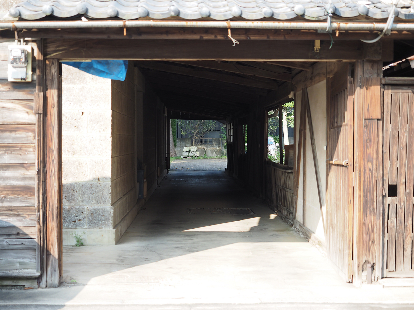 PA240249.jpg