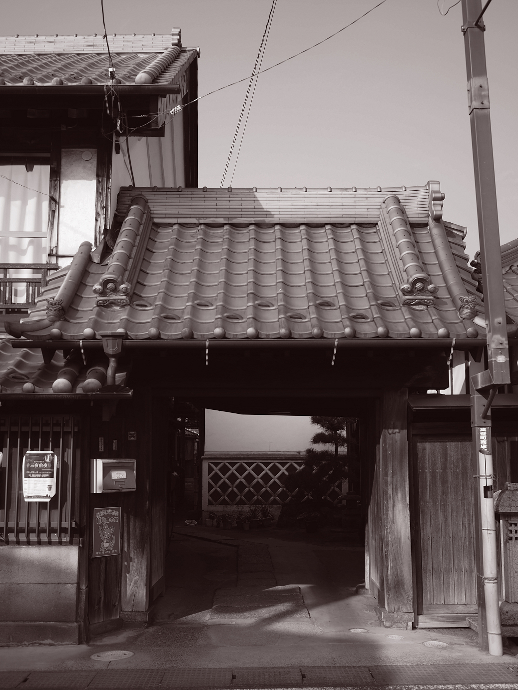 PA240262.jpg