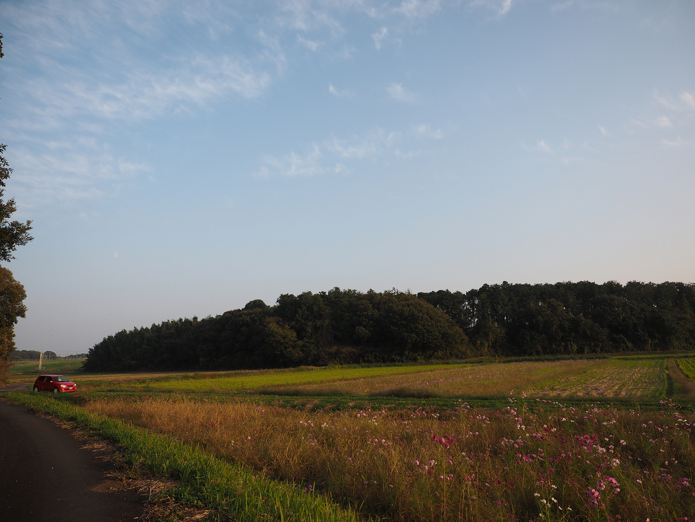 PA240297.jpg