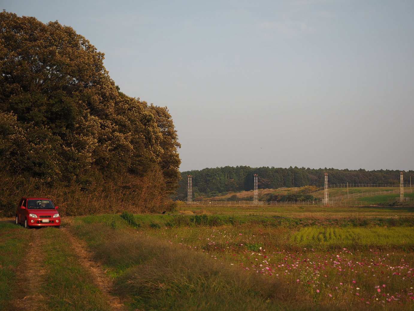 PA240304.jpg