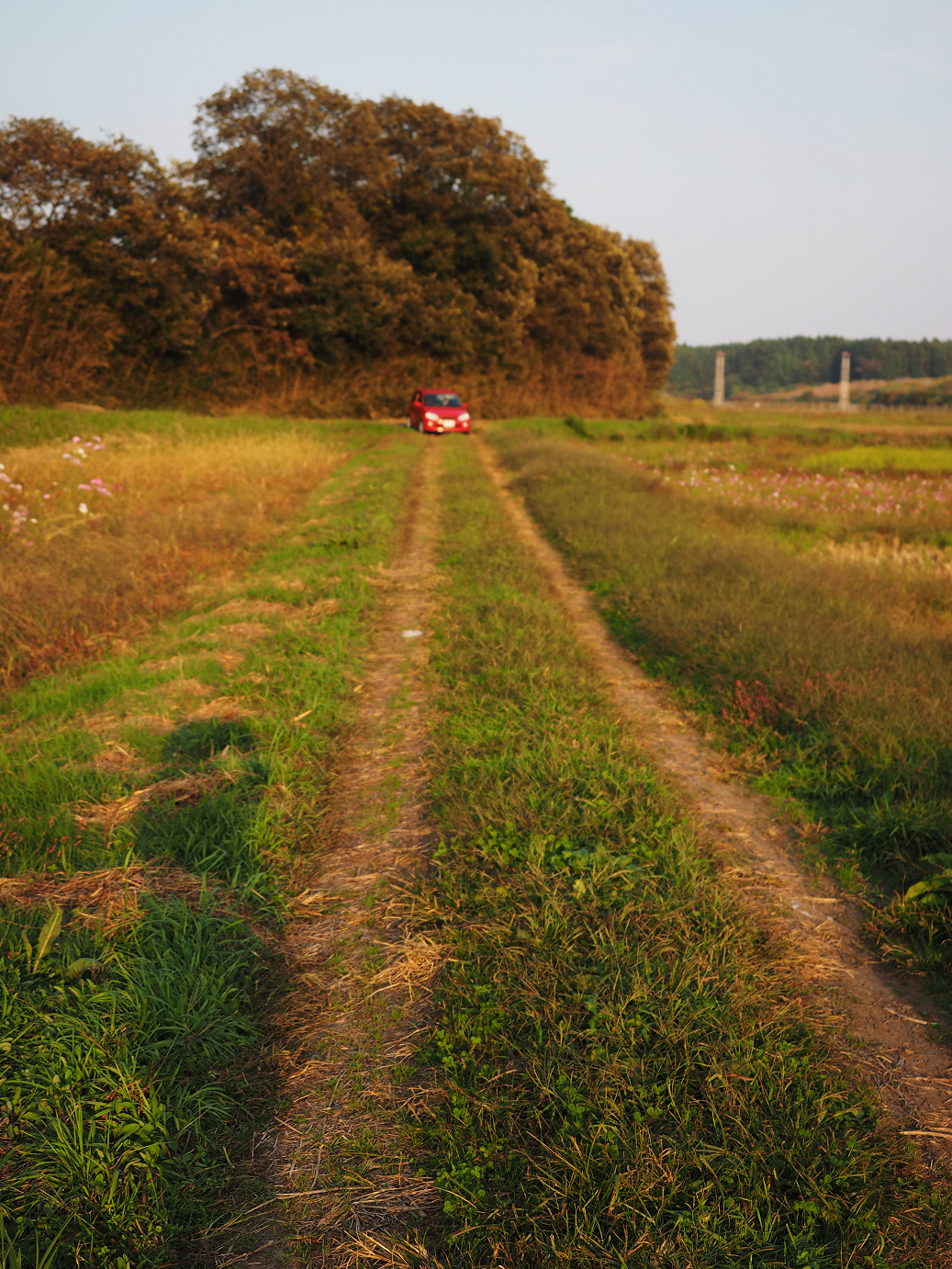 PA240307.jpg