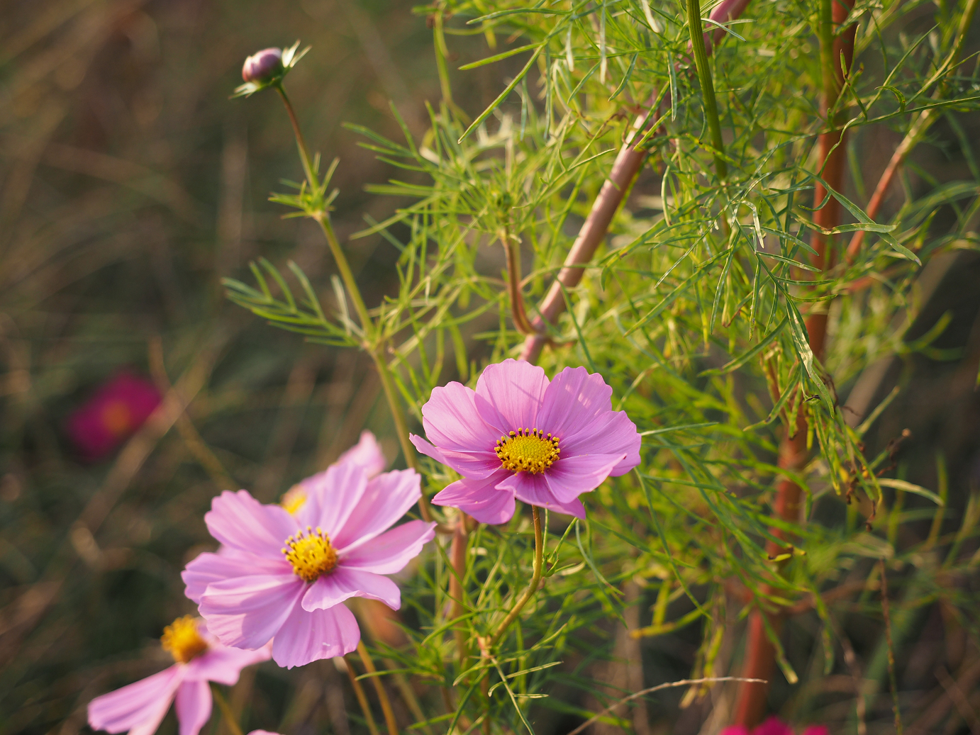 PA240310.jpg
