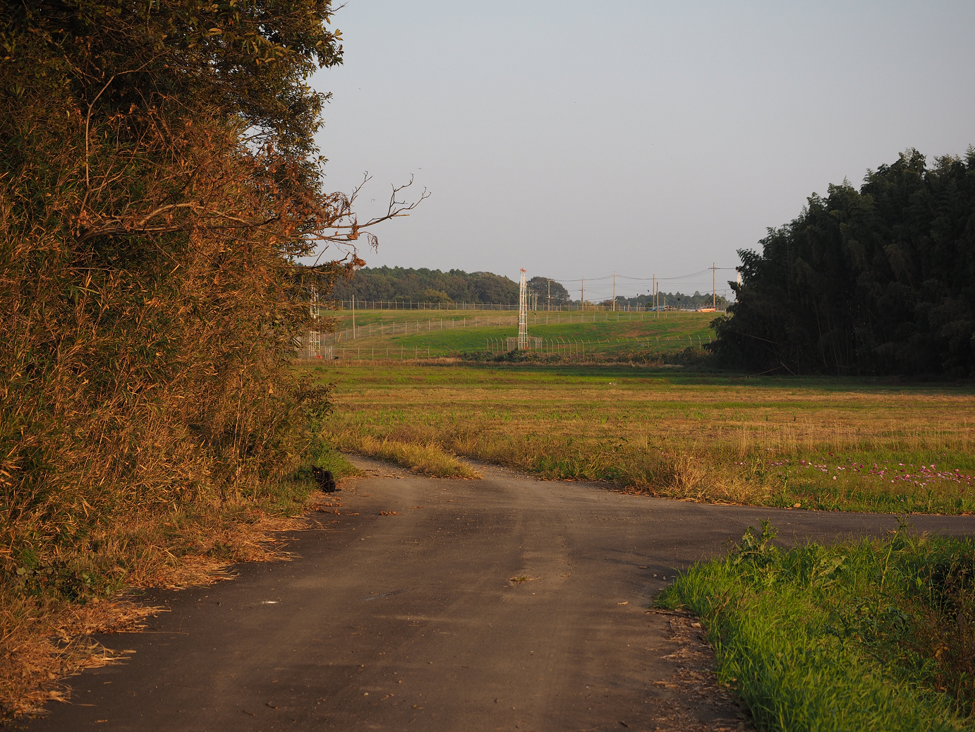 PA240319.jpg