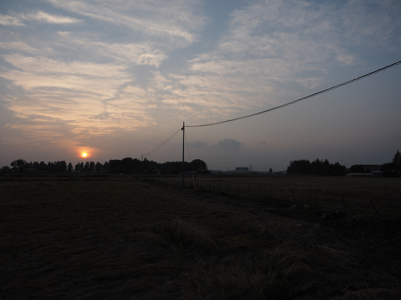 PA240321.jpg