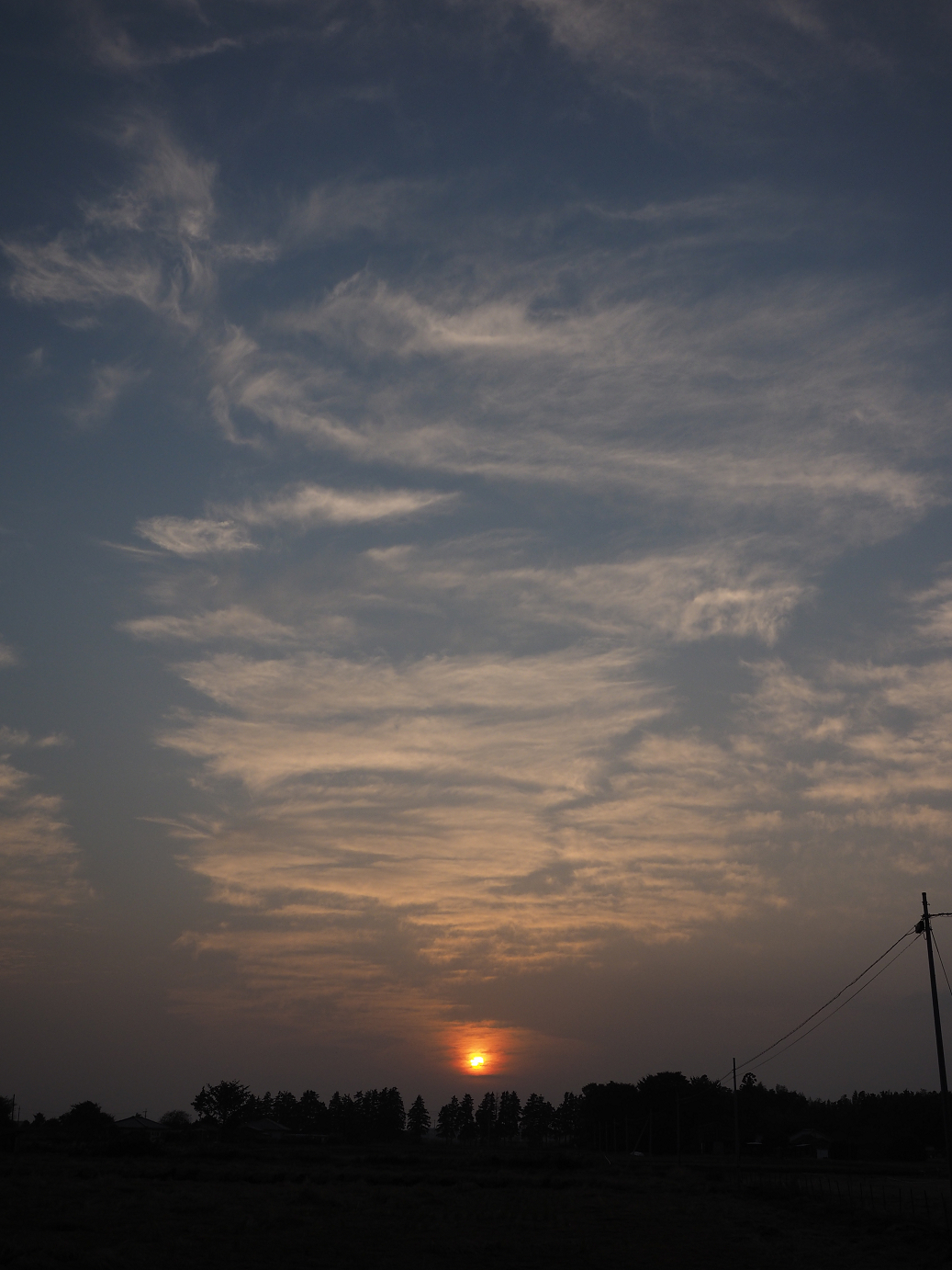 PA240323.jpg