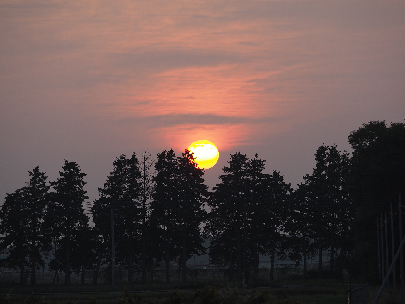 PA240324.jpg