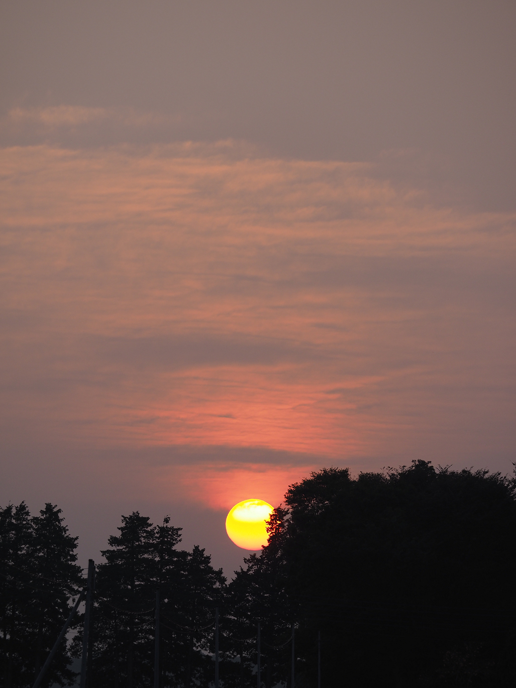 PA240327.jpg