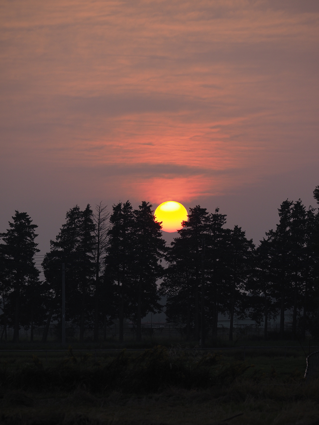 PA240329.jpg