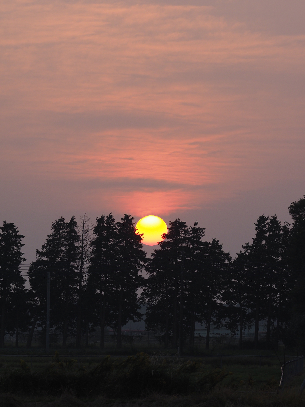 PA240330.jpg