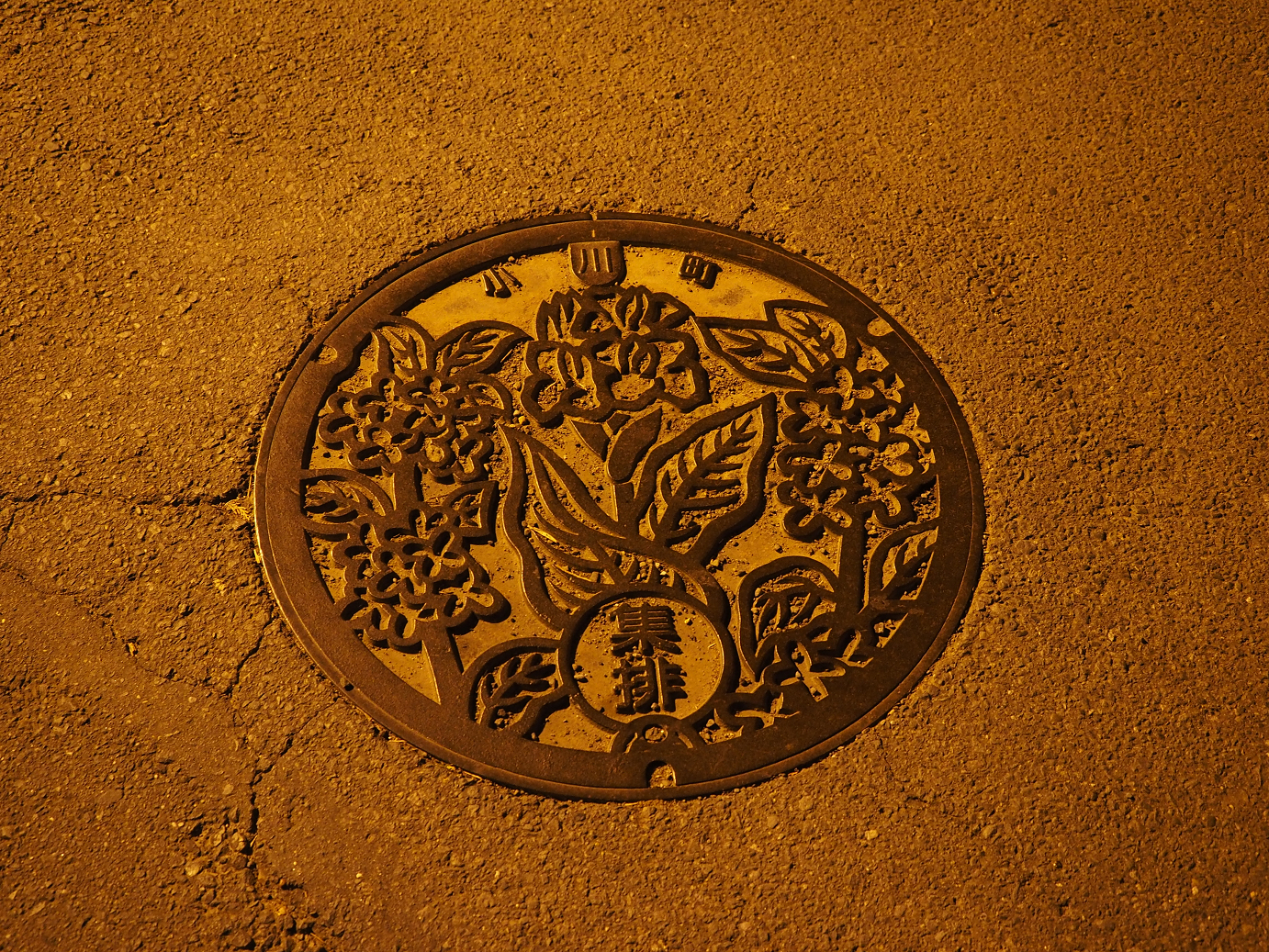 PA240334.jpg