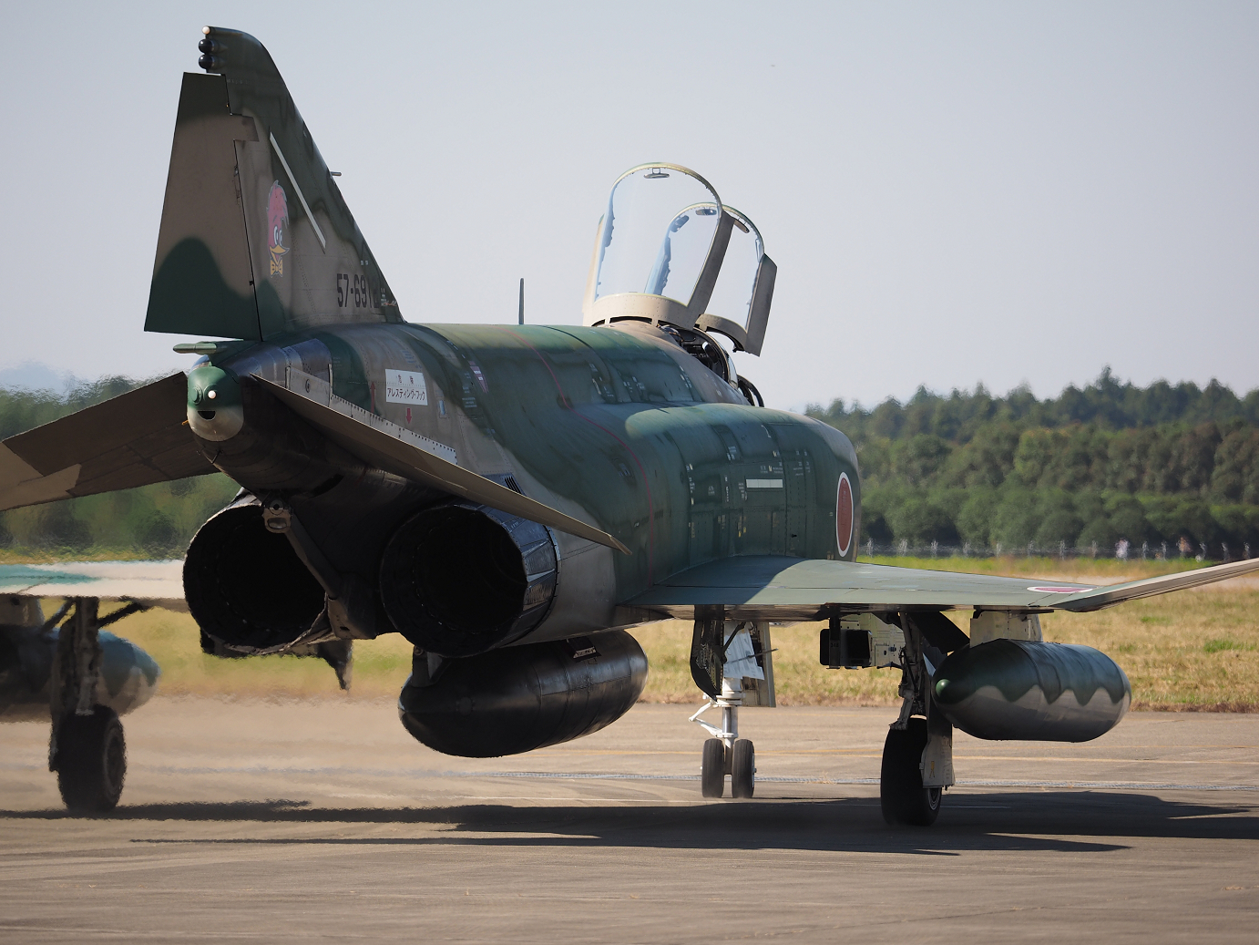 PA250220.jpg
