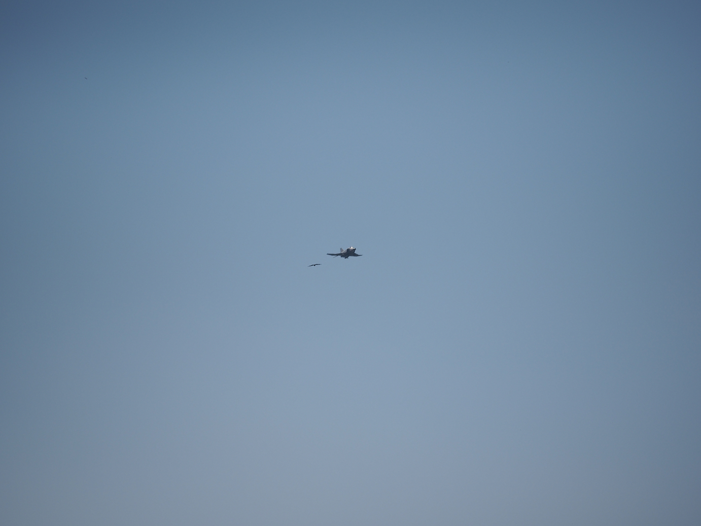 PA250276.jpg
