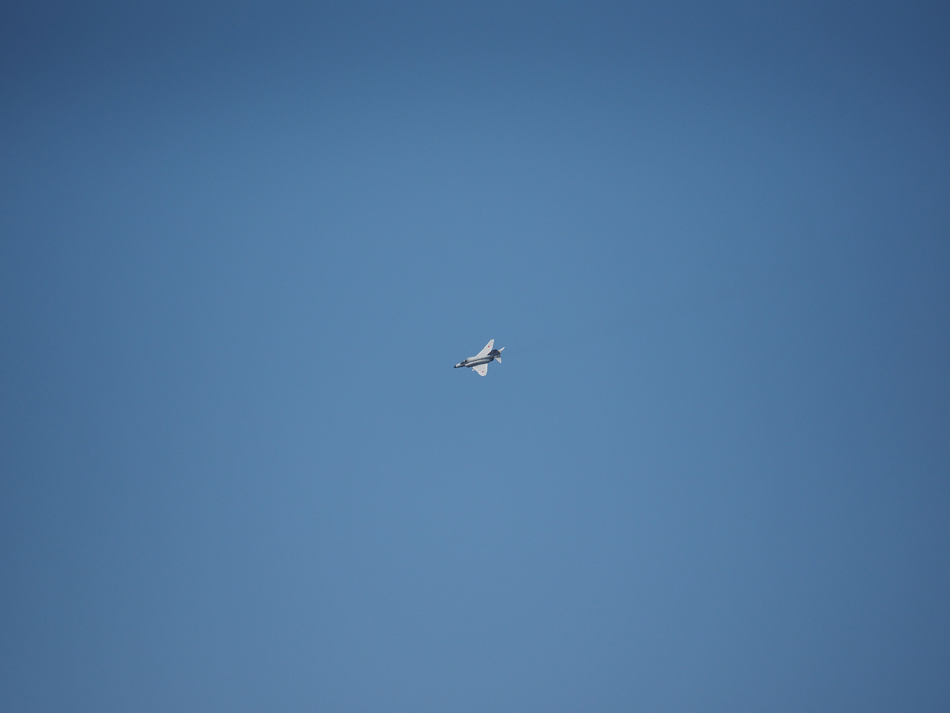 PA250306.jpg