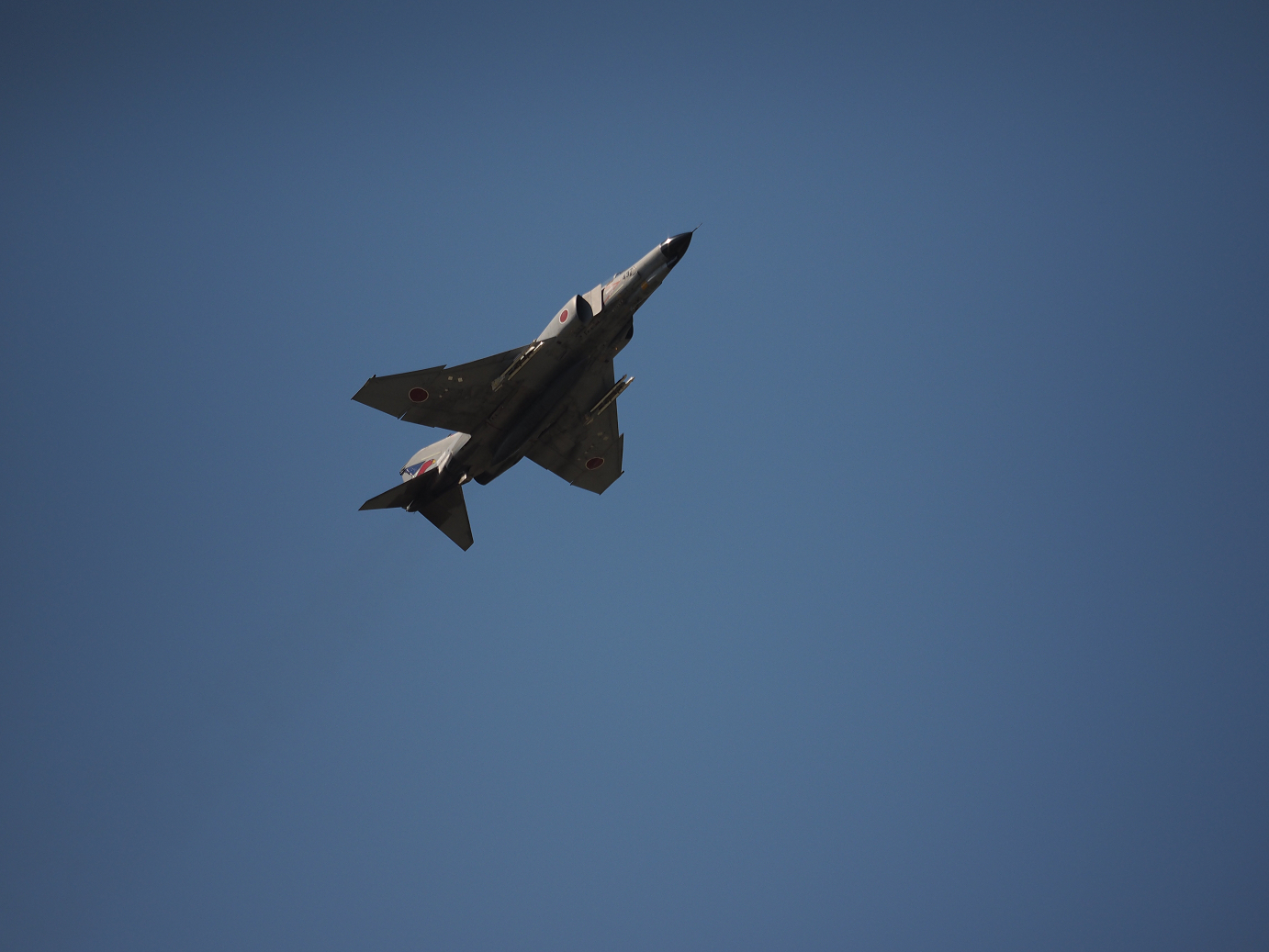 PA250399.jpg