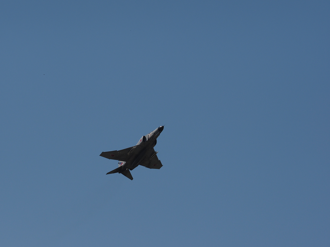 PA250509.jpg