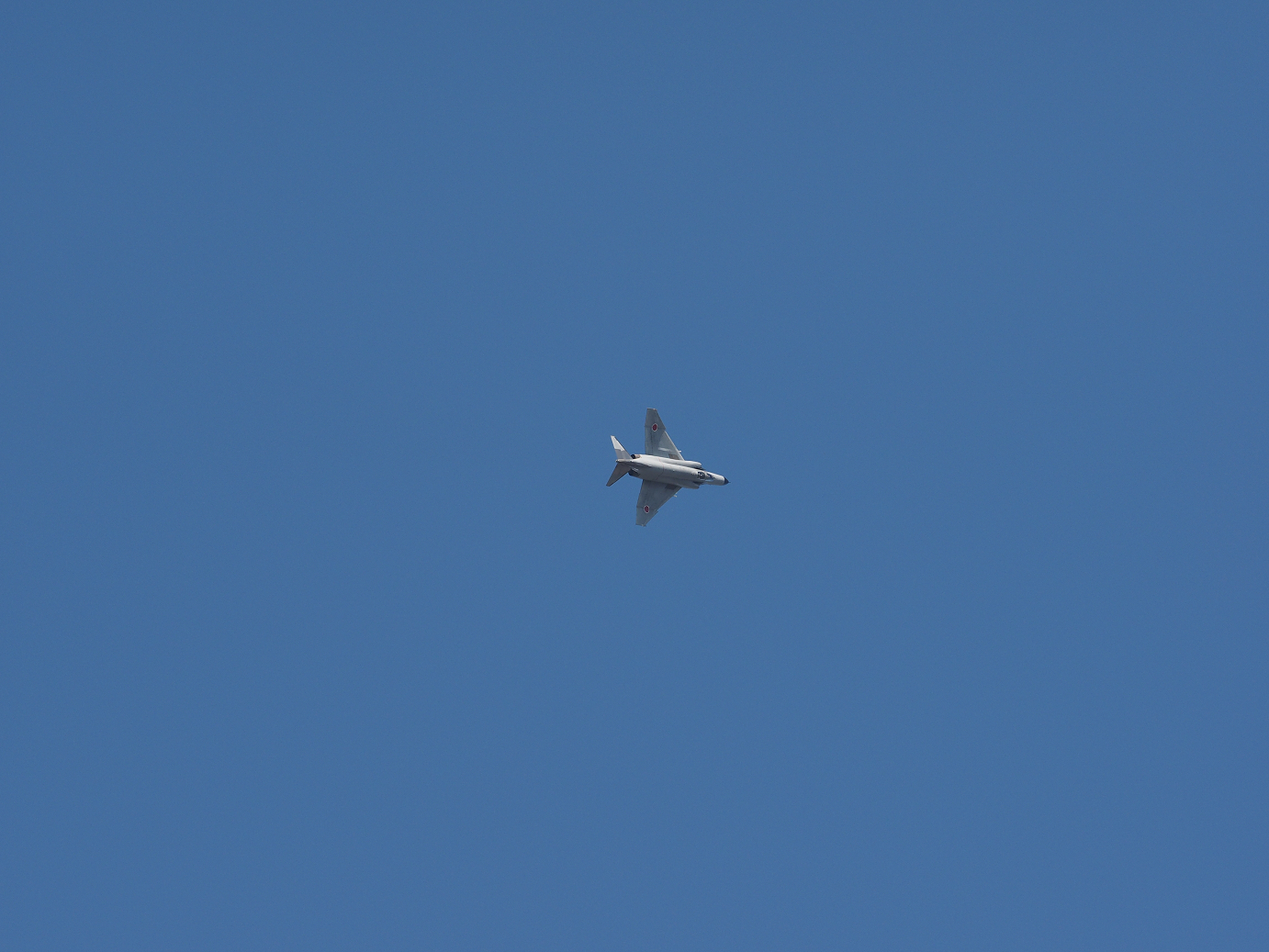 PA250698.jpg