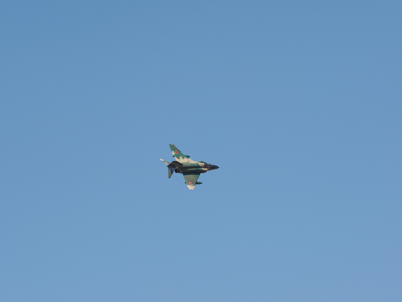 PA250947.jpg