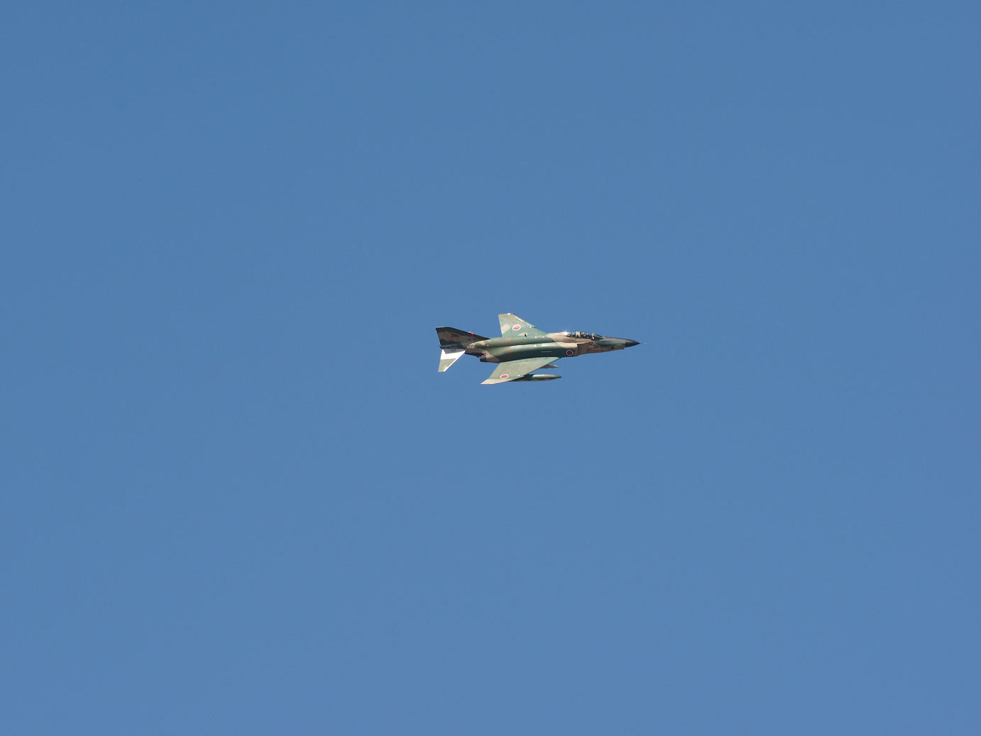 PA251000.jpg