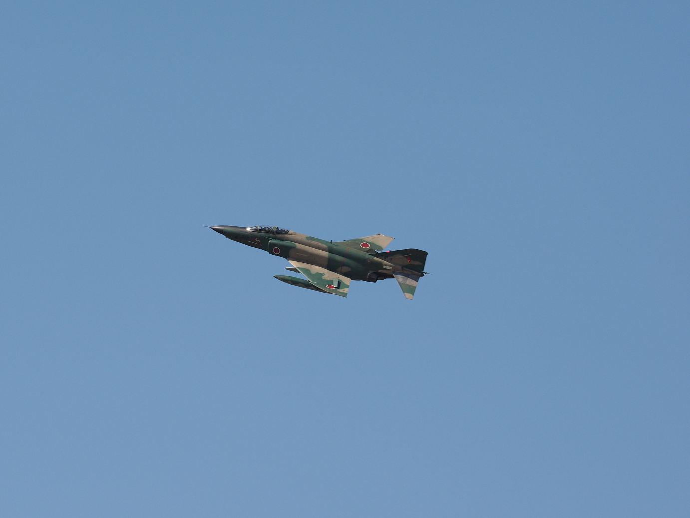 PA251025.jpg