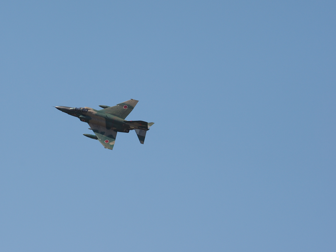 PA251030.jpg