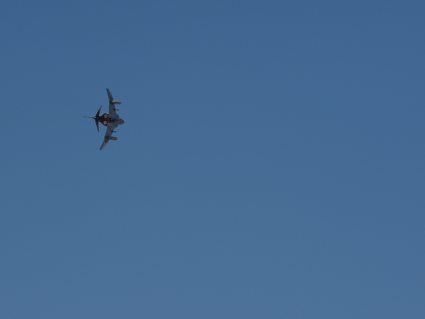 PA251114.jpg