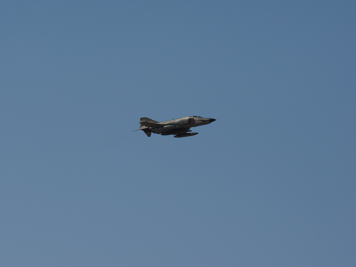 PA251175.jpg