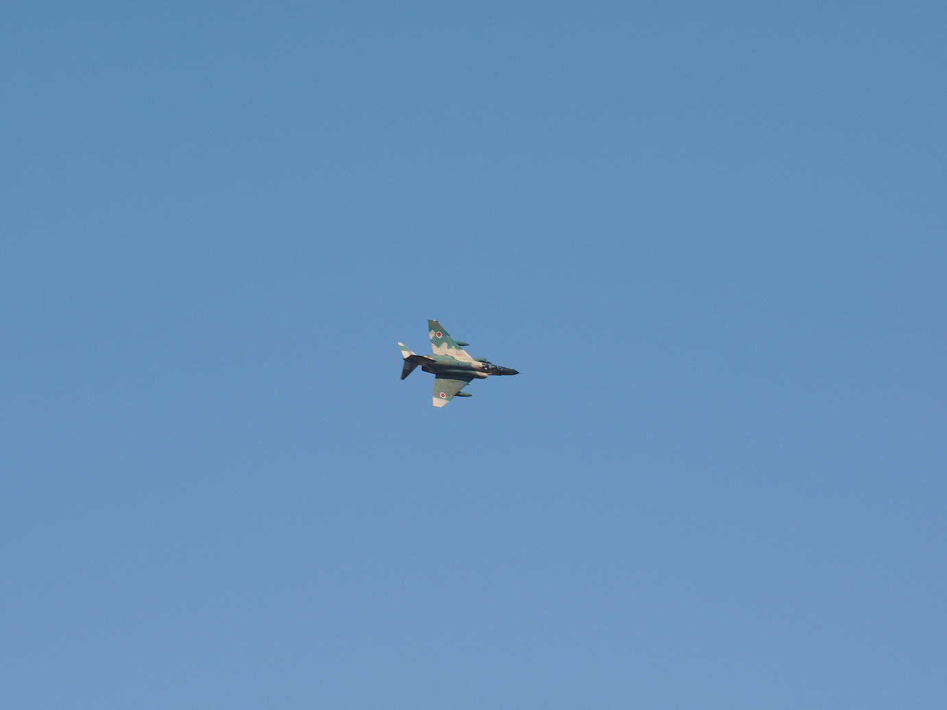 PA251206.jpg