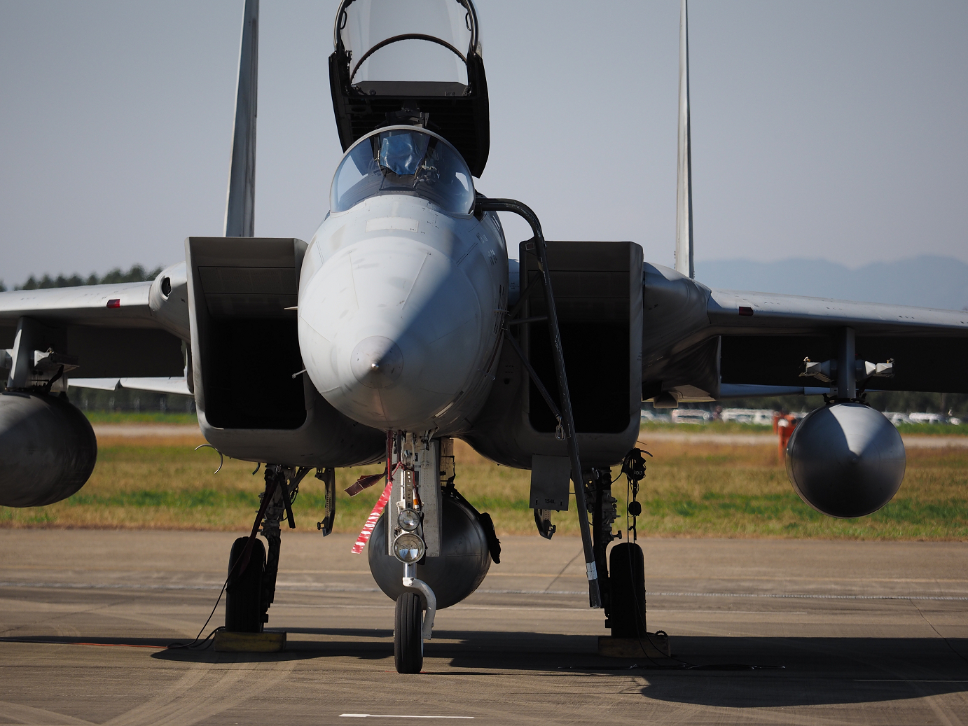 PA251224.jpg