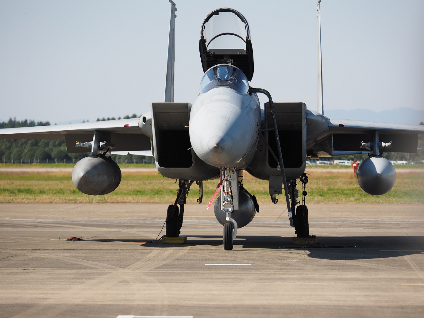 PA251226.jpg