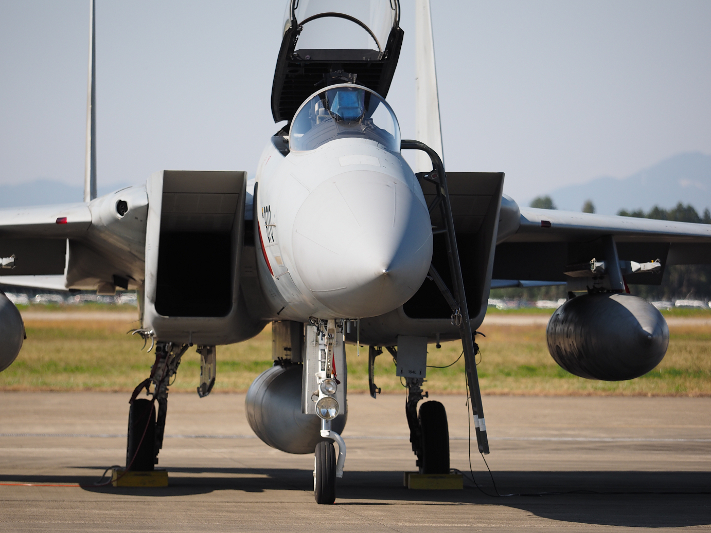 PA251230.jpg