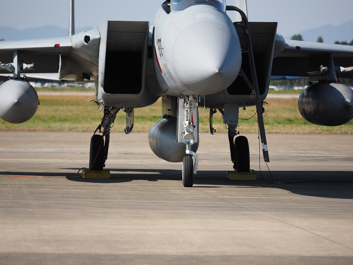 PA251231.jpg