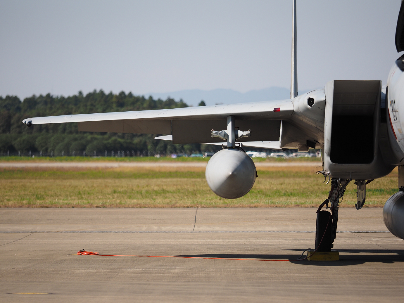 PA251232.jpg