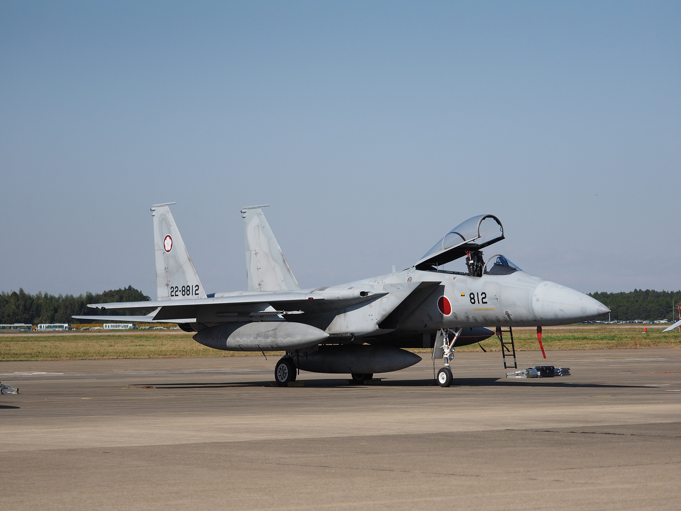 PA251251.jpg