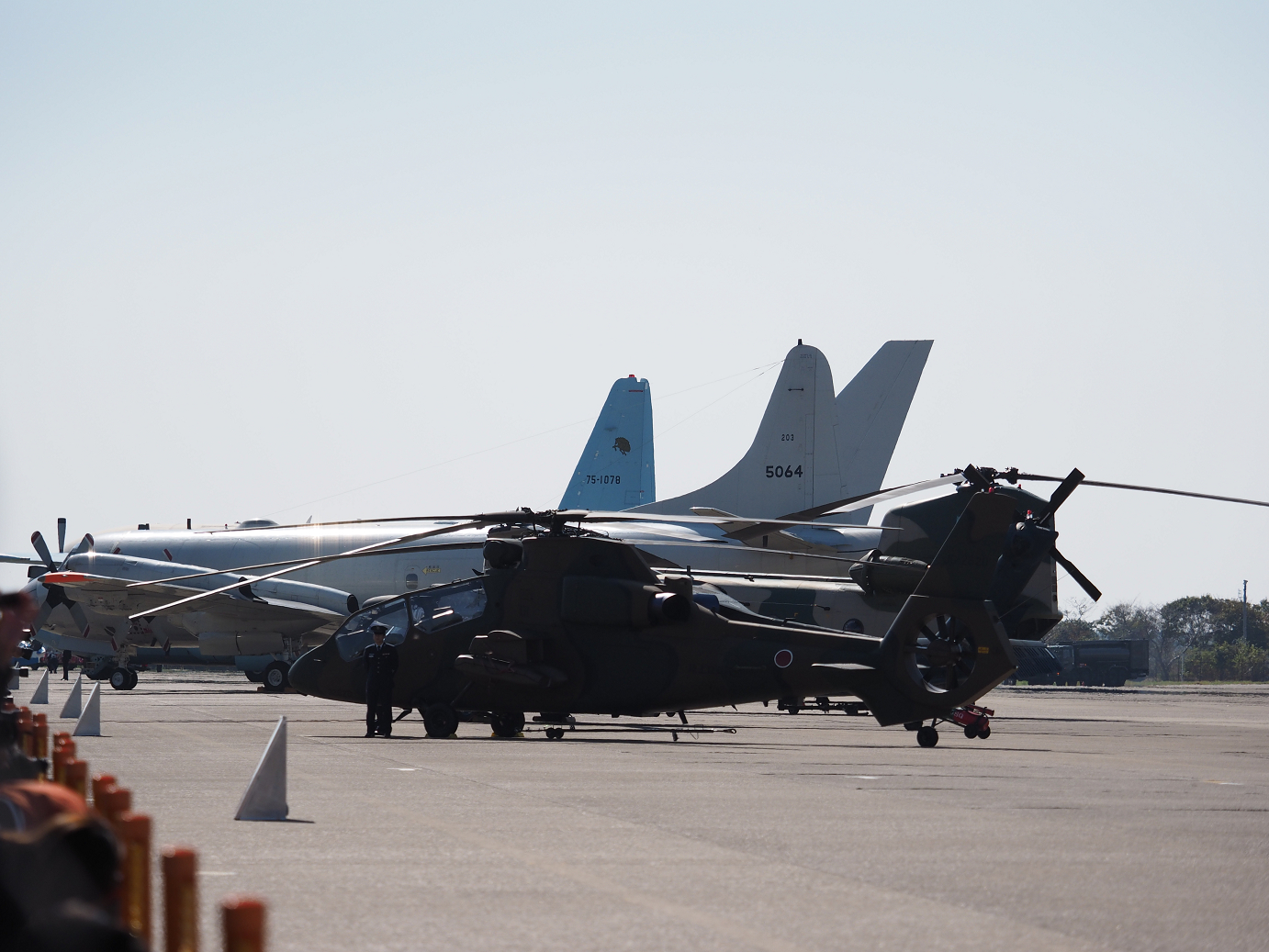 PA251261.jpg