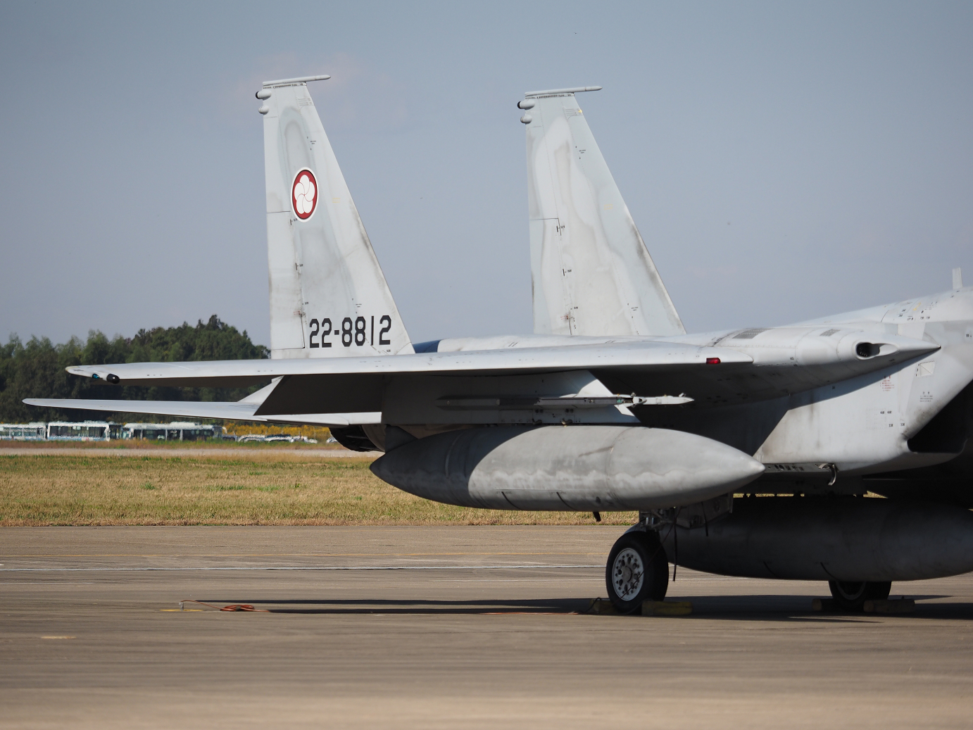 PA251291.jpg