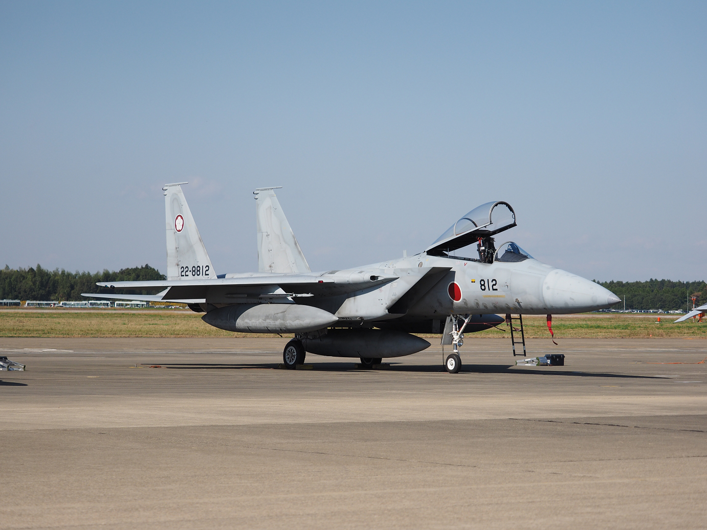PA251294.jpg