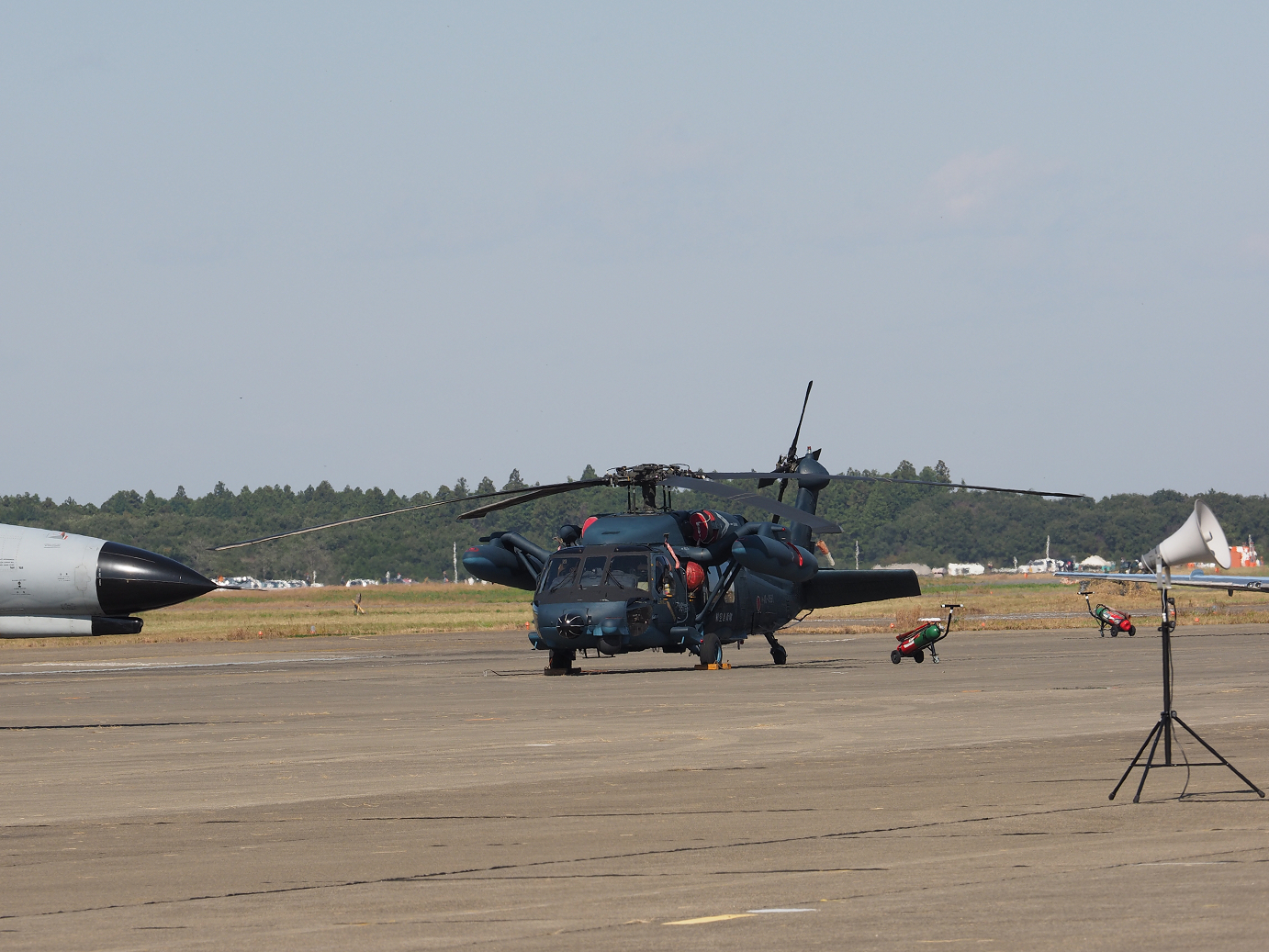 PA251297.jpg