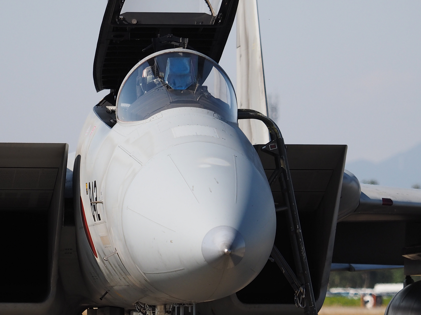 PA251306.jpg
