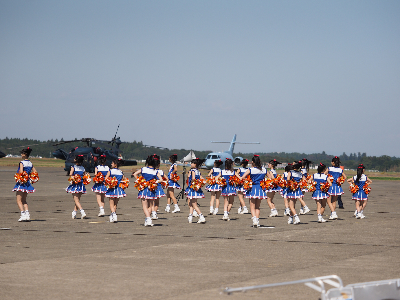 PA251323.jpg