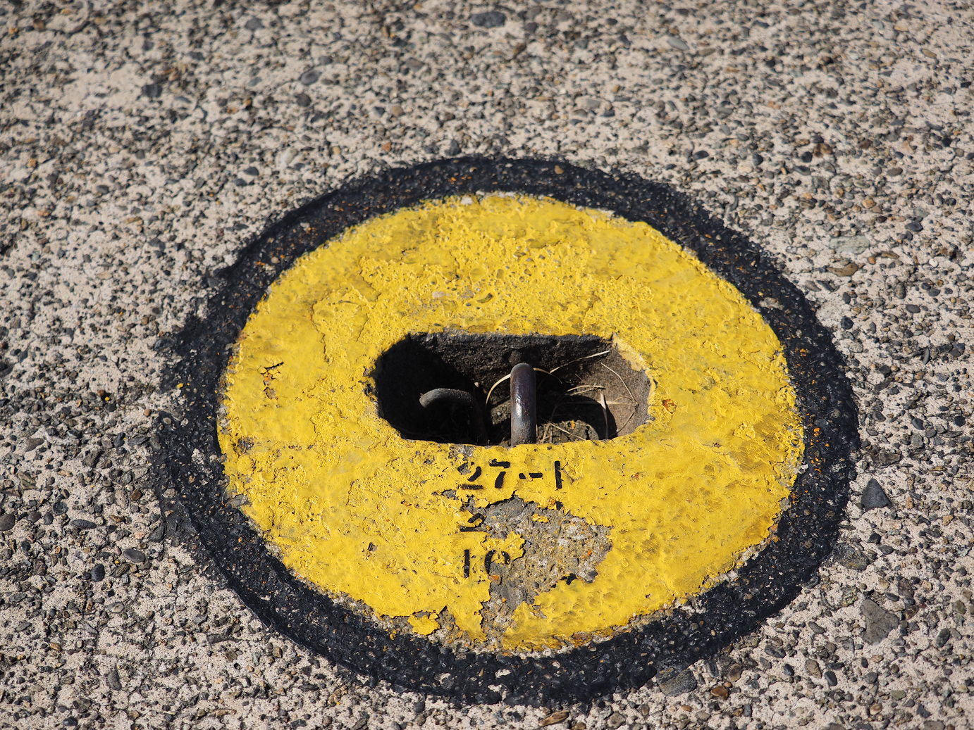 PA251334.jpg