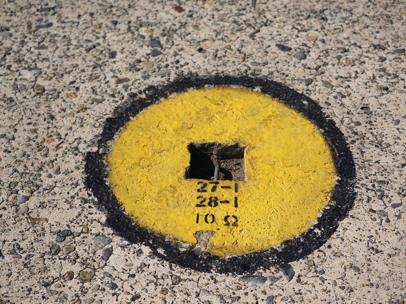 PA251335.jpg