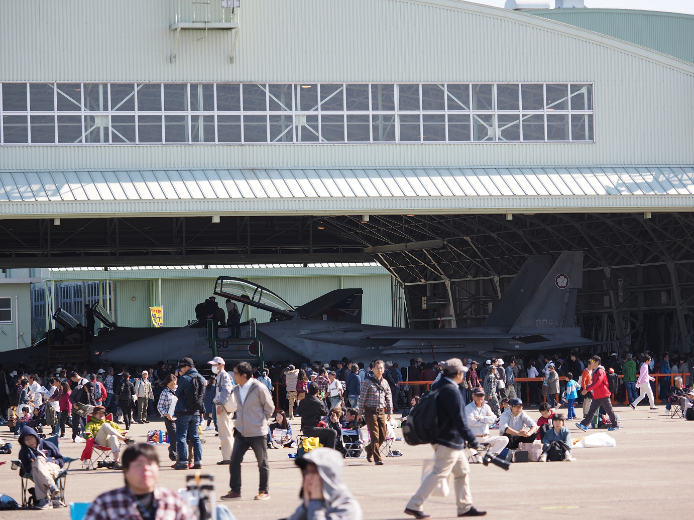 PA251336.jpg