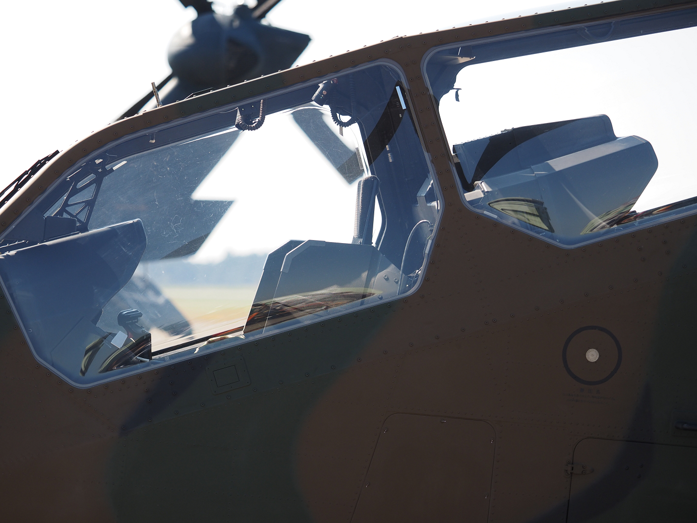 PA251346.jpg