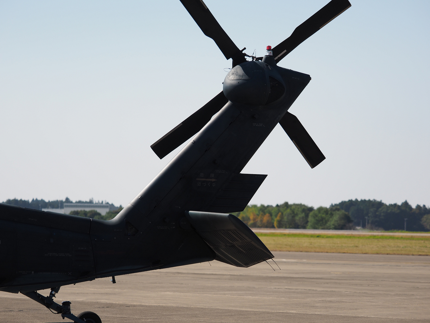 PA251356.jpg