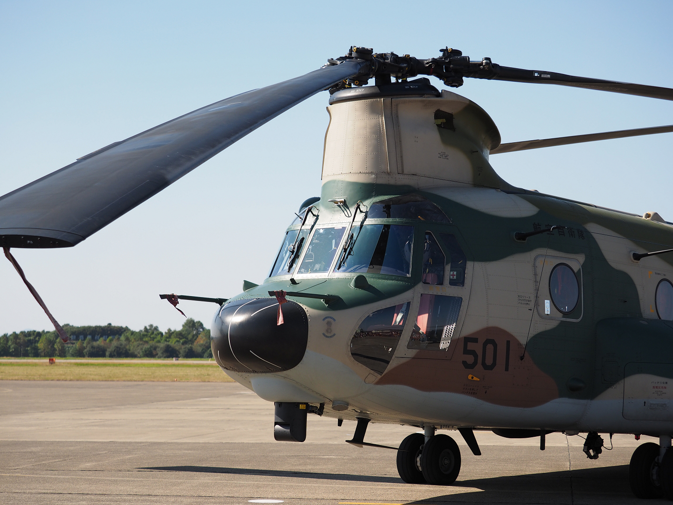 PA251366.jpg
