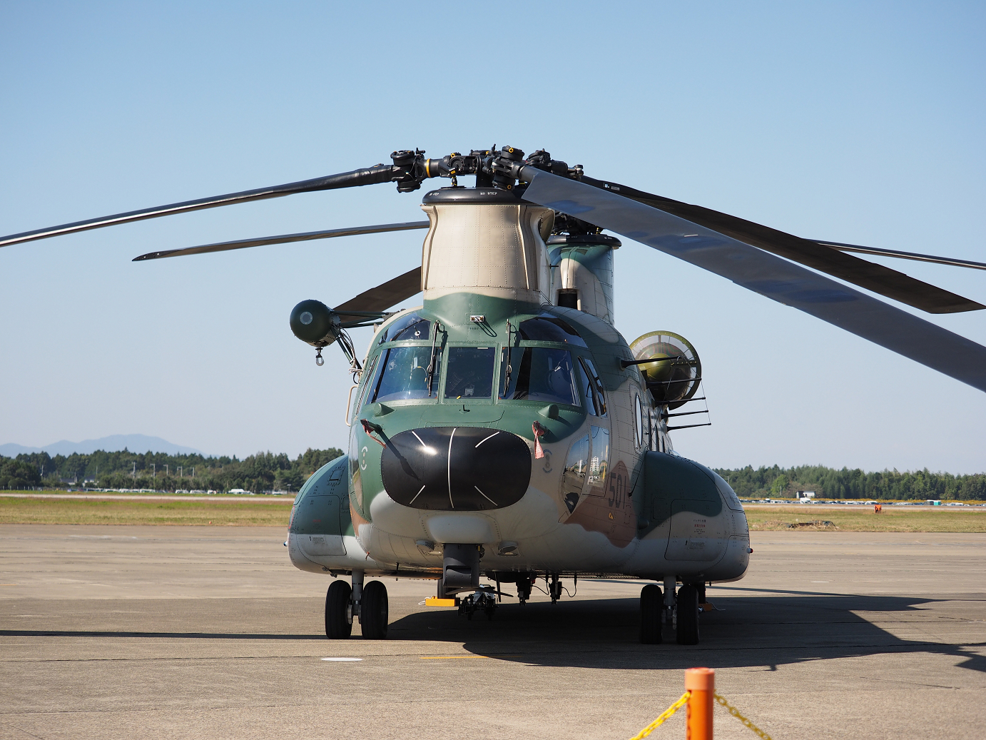 PA251367.jpg