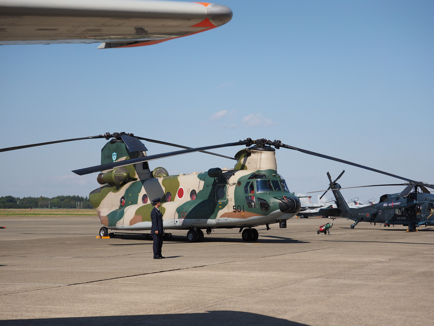 PA251371.jpg